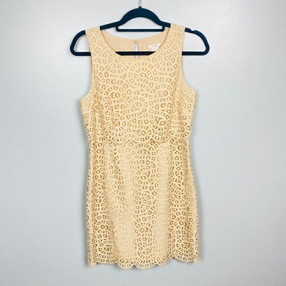J. Crew Womens Size 4 Blush Pink Sleeveless Tiered Shift Dress in Teardrop Lace - Picture 3 of 10